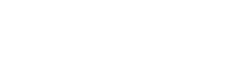 logo_LS_blanco